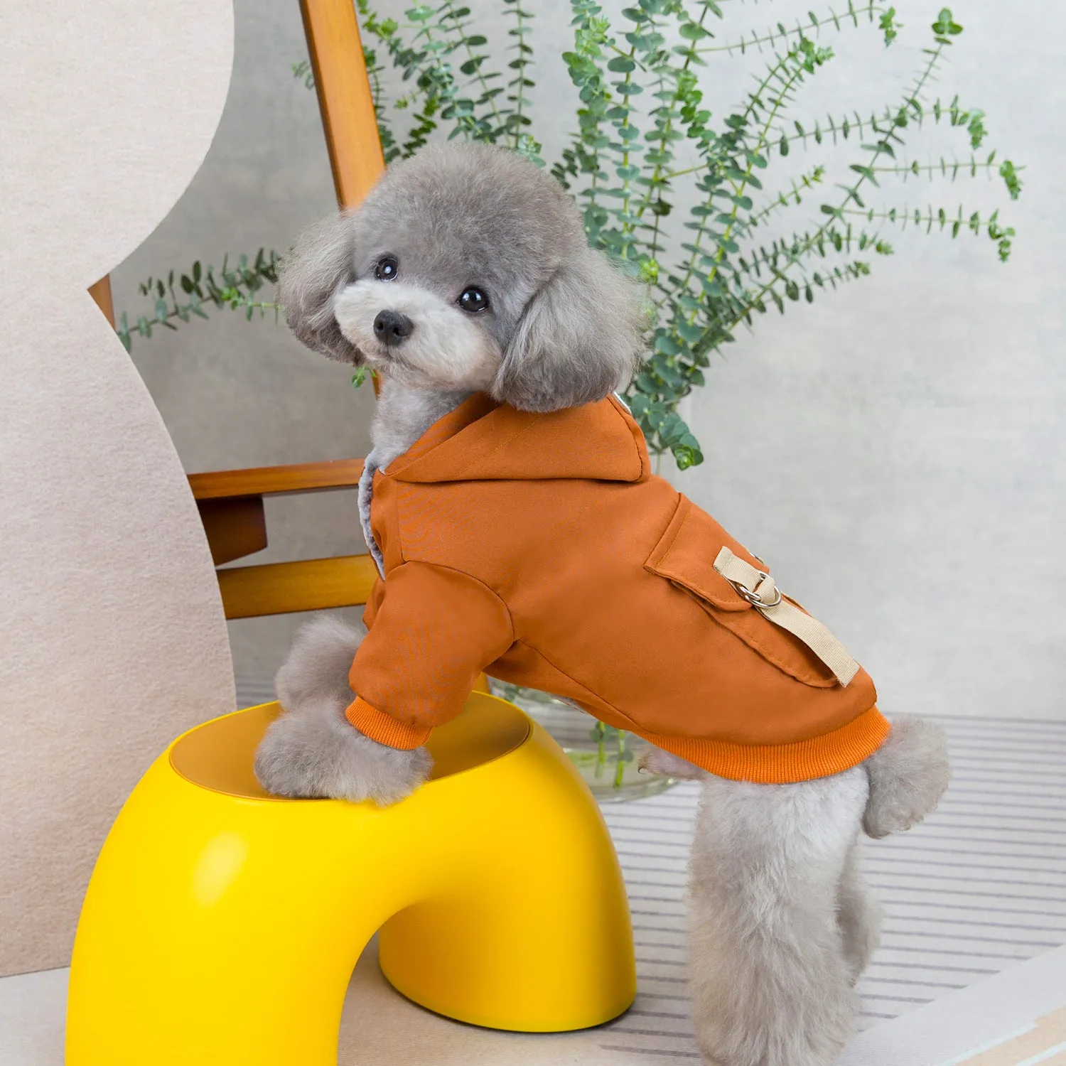 Casual Two-Legged Cotton Sweater for Dogs & Cats