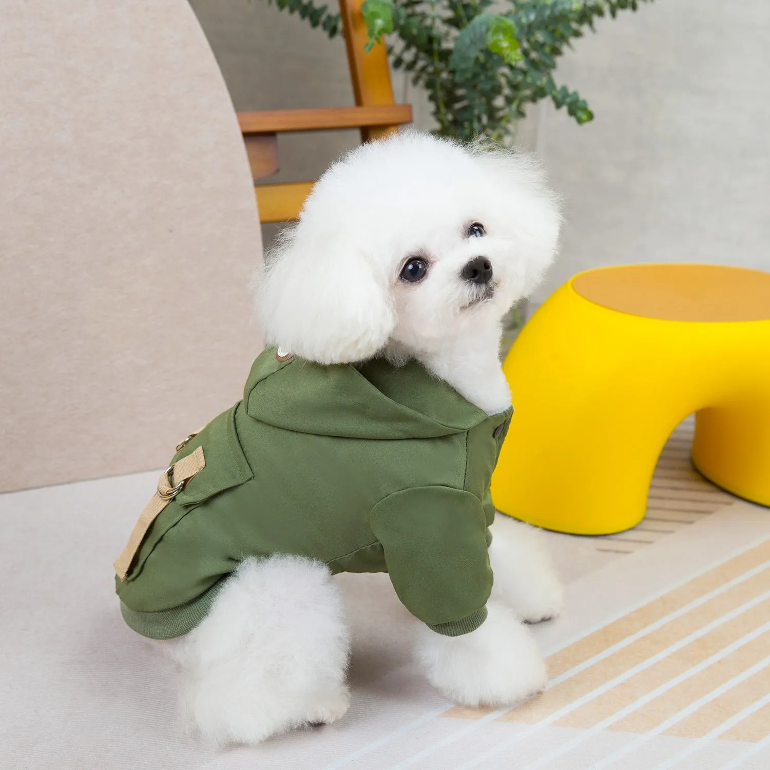 Casual Two-Legged Cotton Sweater for Dogs & Cats