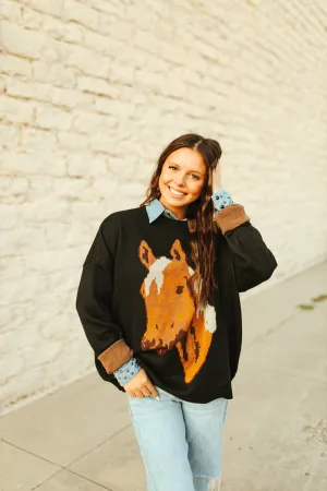 Pecos Palamino Sweater