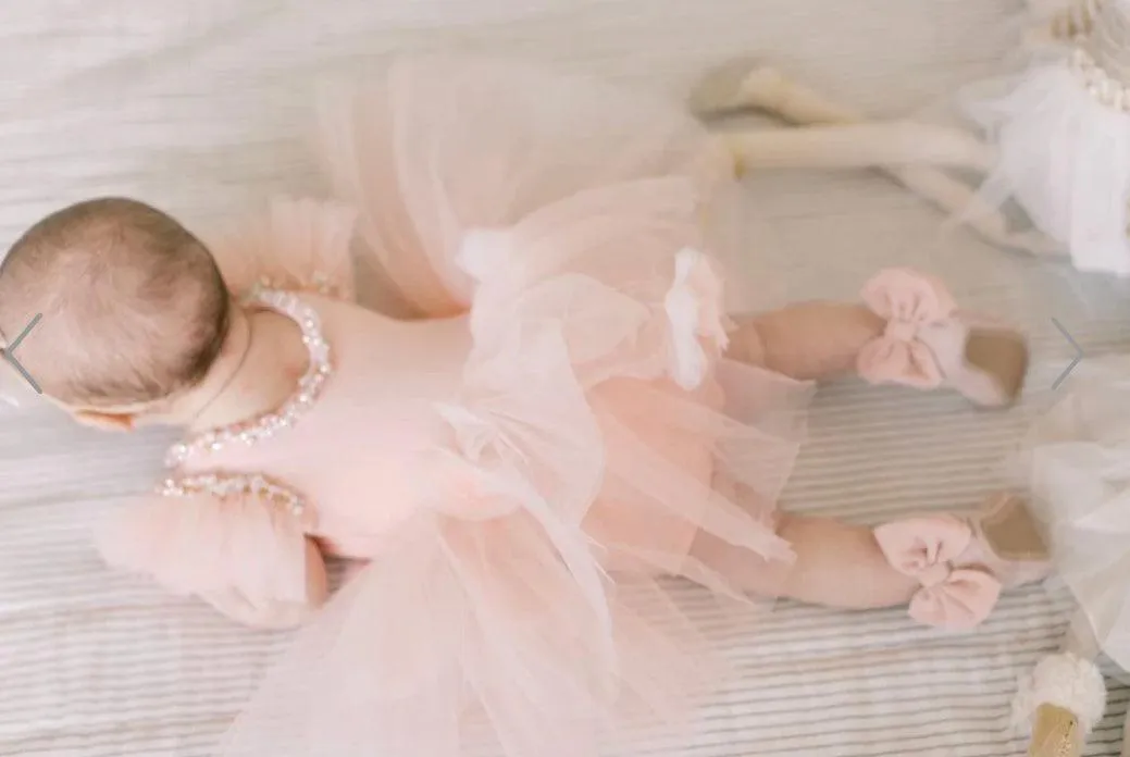 Sugar Plum Fairy Tutu Leotard  Dress