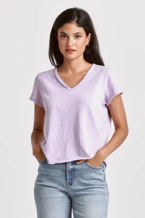 Vanya Sheer Top